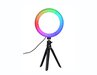 25cm Ringlamp / LED Ring Light RGB - Type: Q10
